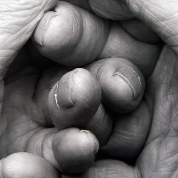 John Coplans, Interlocking Fingers, No. 17, 2000, gelatin silver print on paper, edition 1/3, 47 × 39 inches. 2013 Collectors' Circle purchase, 2013.34.01.91. © The John Coplans Trust