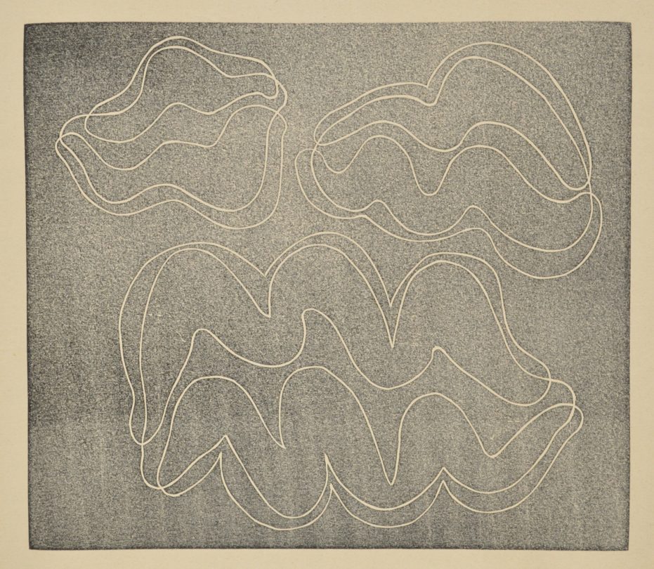 Josef Albers, Adapted