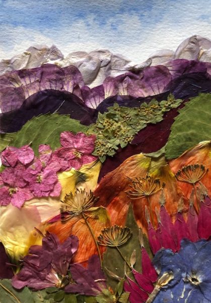 FULL* Adult Studio: Pressed Flower Art - Asheville Art Museum